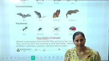 Chapter 7 Animals | EVS Class 3
