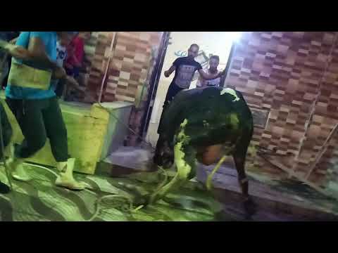 المعلم اسامه الجزار كل سنه وانتم طيبين