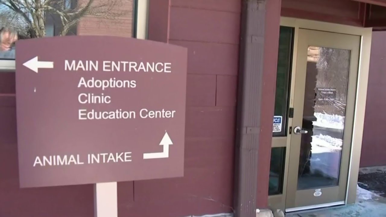 Emaciated Dog Found Frozen To Death In Cage Near Ypsilanti Apartment 