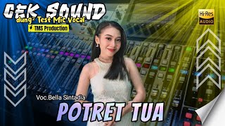 Download lagu POTRET TUA