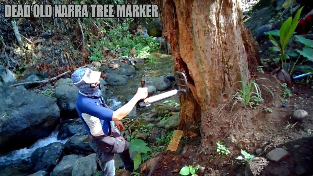 RECOVERED GIVE AWAY UNDER DEAD OLD NARRA TREE!!!