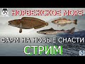 🌟НОРВЕЖСКОЕ МОРЕ🌟СТРИМ🌟Русская Рыбалка 4(РР4)🌟