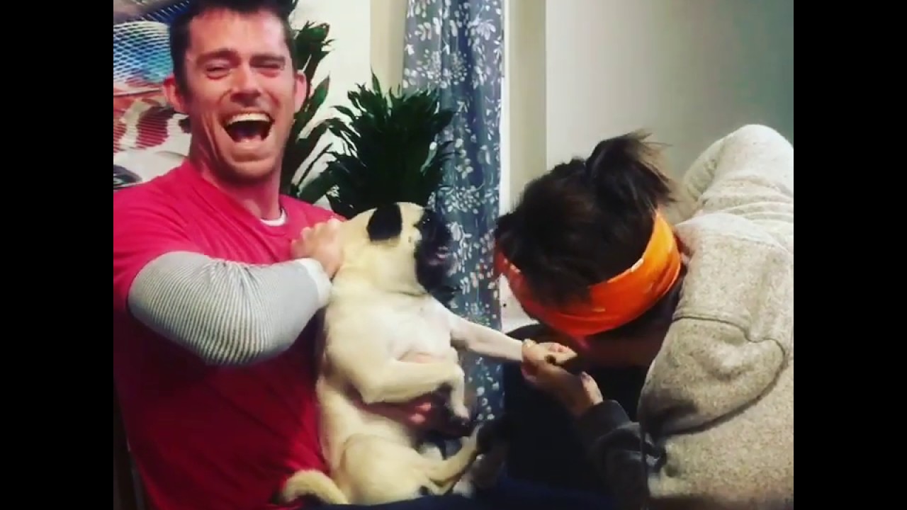 Crazy Dog- hates getting nails clipped. 