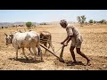   Ek Garib Kisan ka jivan 🥺🥺#shorts#shortvideos#explore #GaribKisan #viral 