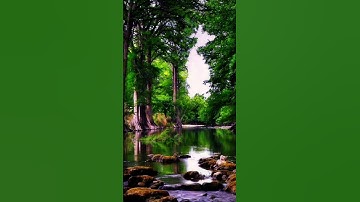 سورة الاحزاب الآية(٥٦)  القارئ الشيخ محمد صديق المنشاوي