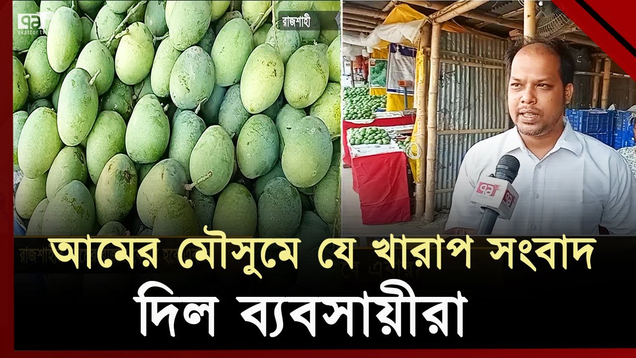 রাজশাহীর আমের বাজার কেমন হবে এবার? | Mango | Ekattor TV