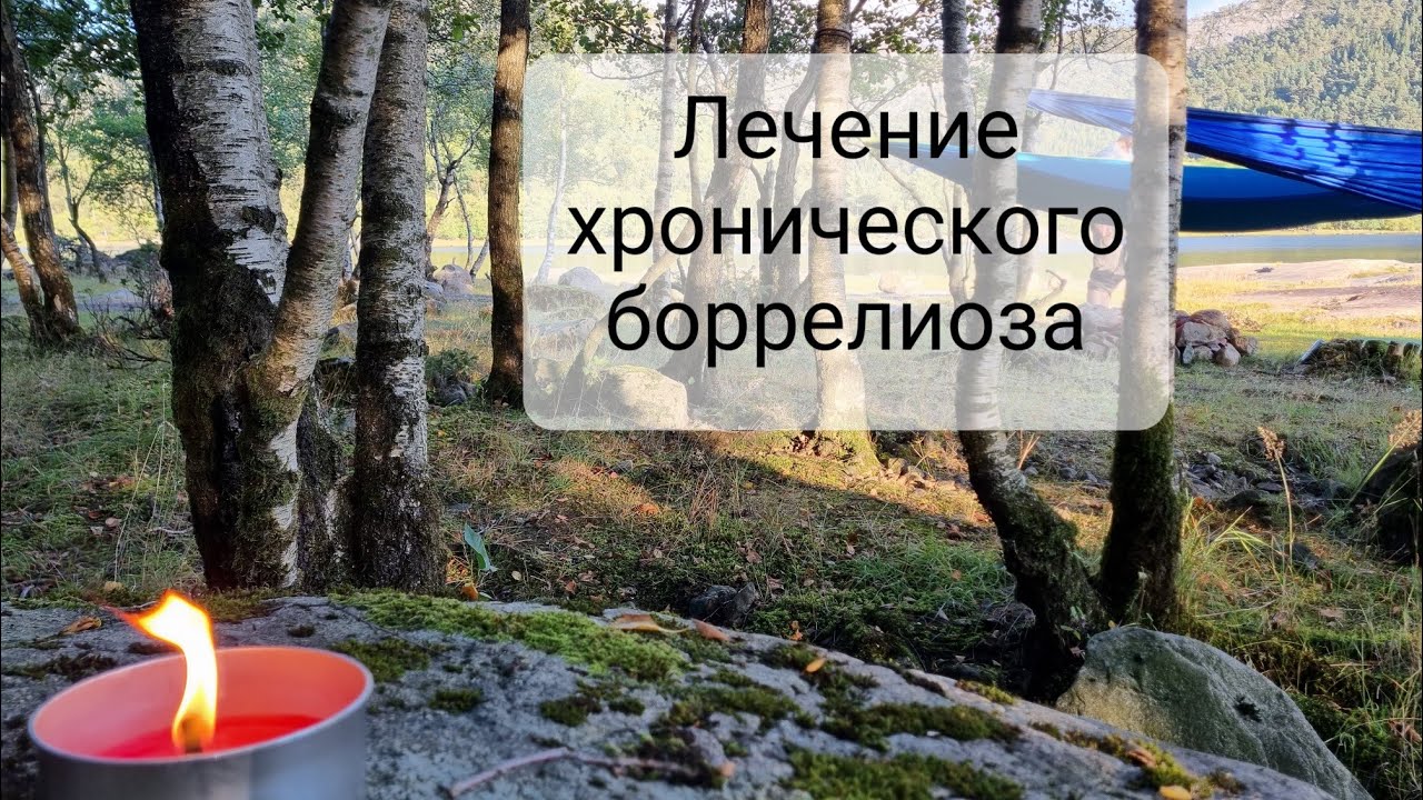 Эффективность лечения Лайм боррелиоза. 23 способа. - YouTube