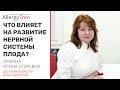 Что влияет на развитие нервной системы плода?