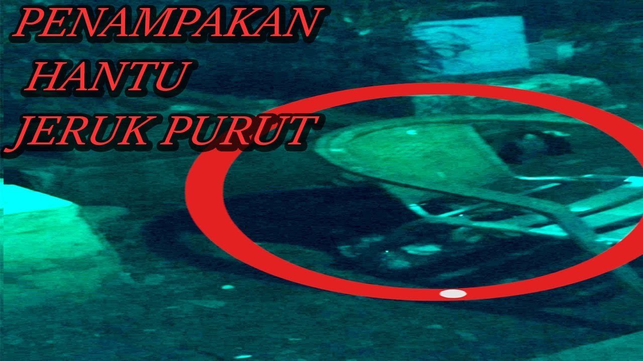 44 Foto Hantu Jeruk Purut Asli Gratis Terbaik