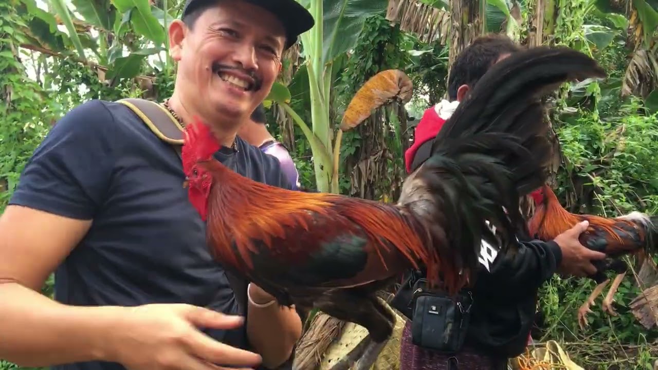 PABURITONG LUGAR NA PINUNTAHAN KO, MANTALUNGON CEBU