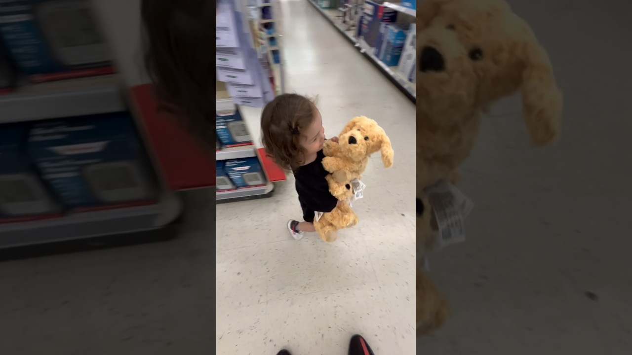 Phoenix got 3 new dogs 🐶 😂👀