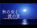 秋の虫と波の音【音散歩】