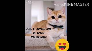 #Stress Gila 🤣 #KUFUKIR Aku Makin #GLOWING di masa #PSBB ini... TERNYATA???