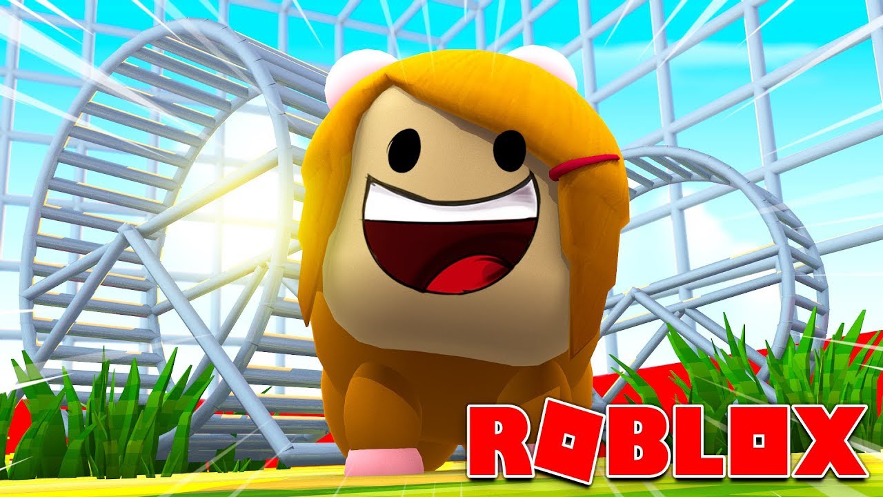 Roblox Roleplay Molly Turns Into A Hamster Youtube - roblox videos escape tobi cons