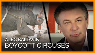 Alec Baldwin: Boycott Circuses That Use Animals