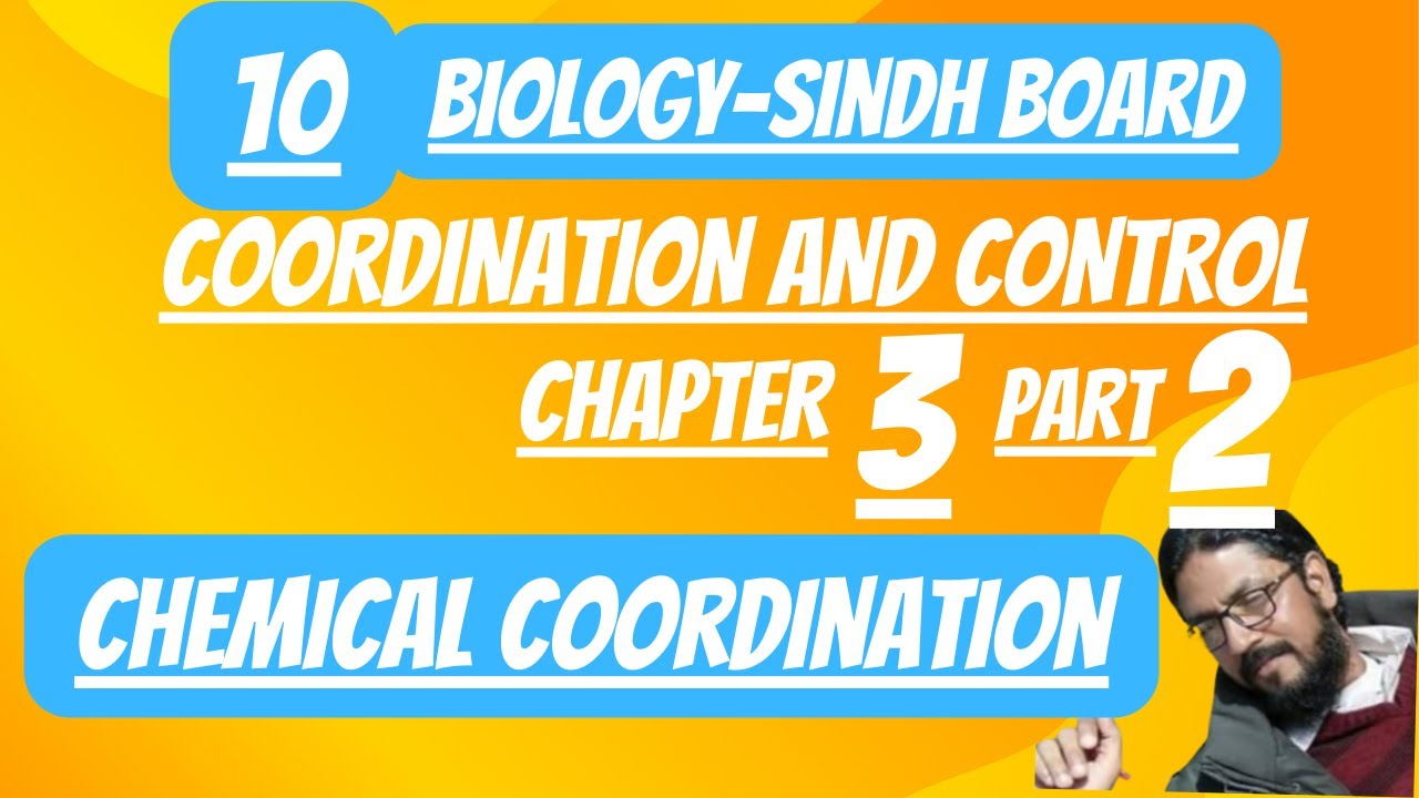 chemical coordination | class 10 biology | chapter 3 | coordination and ...