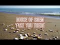 House of Shem - Take You There (Lyric Video)