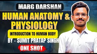 INTRODUCTION TO HUMAN BODY I B.PHARMA I D.PHARMA I ONE SHOT -MARGDARSHAN I CONCEPTOPHARMA