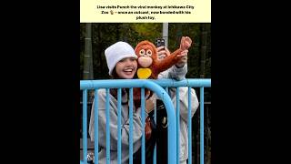 Lisa Visits Punch The Viral Monkey At Ichikawa City Zoo