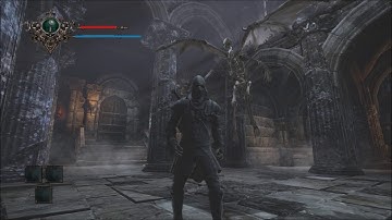 Invector and additional rigging