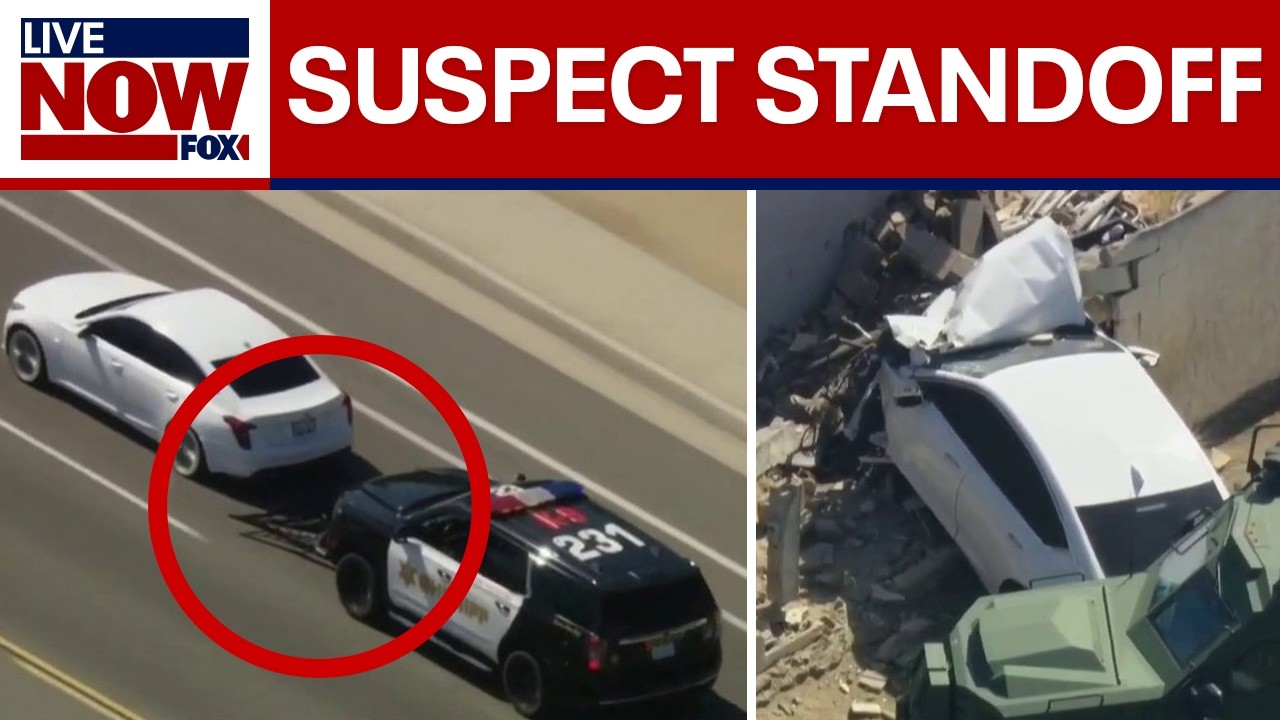 WATCH: Police standoff in California after car chase ends in violent crash