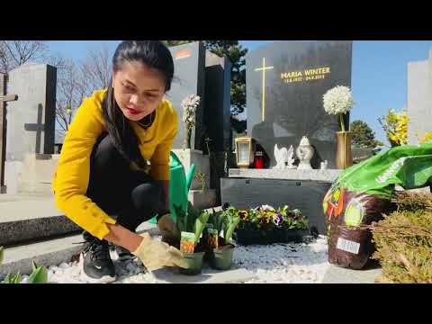 วีดีโอ: สวนข้างหลุมศพ: ฉันสามารถปลูกดอกไม้ในสุสานได้ไหม?
