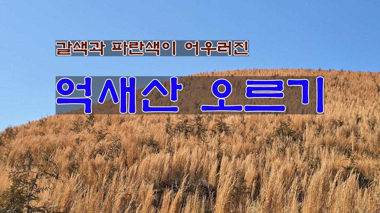 [한국트레킹]겨울 억새산 오르기[climbing wintermountains of silver grass/冬季攀登紫芒山/冬のススキ登り]