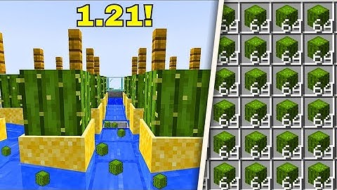 Easy CACTUS Farm Minecraft 1.21+ - Tutorial