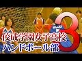 ハンドボールの実践練習法 ?佼成学園女子高校ハンドボール部 上達への取り組み? Disc3 sample