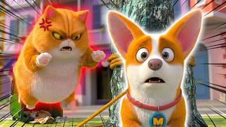 🐶Moco VS The Big Bad Bully Cats!🐱 | Flying Moco Full Episodes 🐶 | Funny Cartoon for Kids
