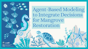 2025 Ocean Decade Video Comp. | Agent-Based Modeling to Integrate Decisions for Mangrove Restoration