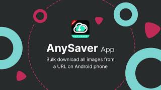 AnySaver - Download all images or videos from Webpage, Search Engine, Pinterest, and Instagram screenshot 3