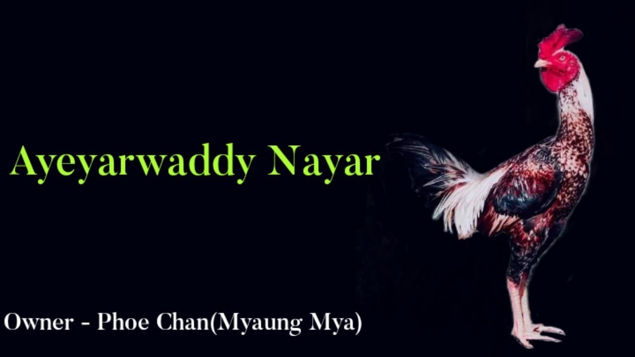 ဧရာဝတီနယား အပိုင်း[ ၂ ]