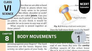NCERT Class 6th Science chapter 8th: Body movements (Part 1)