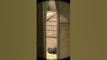 INSANE AWP FLICK SHOT IN CS GO
