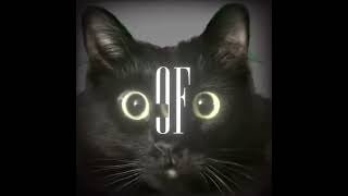 GATITO CON AURA-#youtubeshorts #shorts #futbol #championsleague #messi #cr7 #neymar #goles #aura