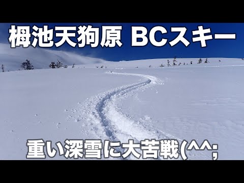 栂池天狗原 BCスキー 2025年1月16日 重い深雪に大苦戦(^^; - YouTube