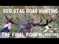 Red Stag Roar Hunting Nz - The Final Roar