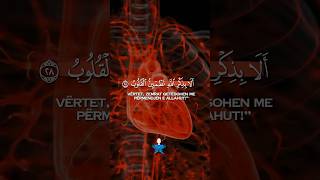 Surja Ar Rad 28 #bujaroffc #explore #surah114 #quran #quotes #religion #reminder #shorts