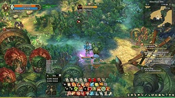 Tree of Savior Doppel C3 damage test