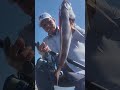 You don't expect this! Shore Jigging Moment #fishingtips #zenaq #carpfishing