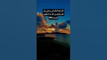 #الشيخ #قناة_القارىء_اسلام_صبحي #القران_الكريم #تلاوة #تلاوة_خاشعة