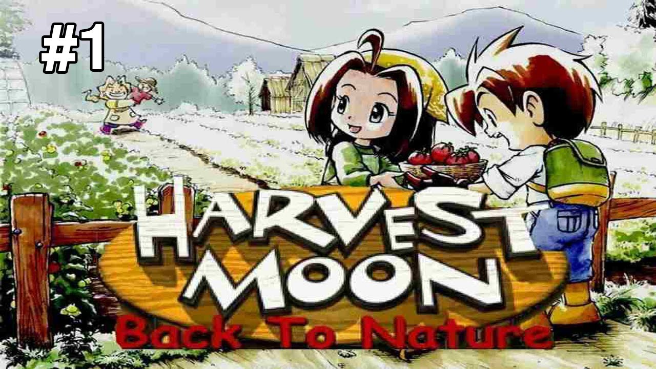 Korean harvest moon festival