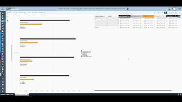 Semantic Colors with SAP Business ByDesign Built-in Analytics (Rel. 1905)