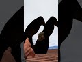 BYE SCP-096 #gmod #garrysmod #shortvideo #scp #shorts