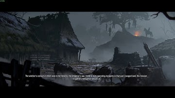 The Witcher 3 On Linux Using Steam Play VS Windows