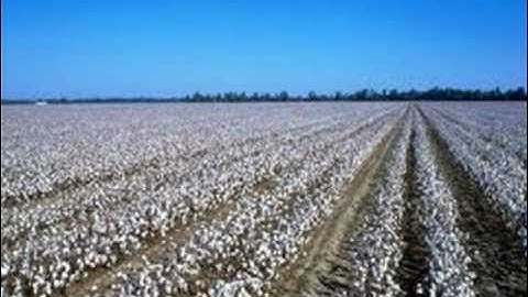 ALABAMA: Song of the south