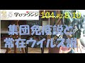 集団免疫説と常在ウイルス説