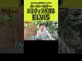 【マニア必見】スーパースターエルヴィス・プレスリー伝説#shorts
