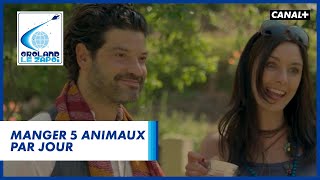 5 animaux par jour - Groland - CANAL+